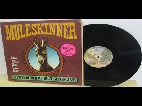 Muleskinner ‎– A Potpourri Of Bluegrass Jam 1974 USA, Progressive Bluegrass,Country Rock