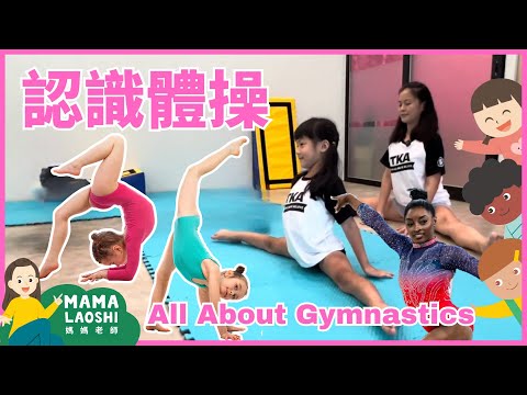 All about Gymnastics for Kids in Chinese 認識體操 🤸｜Gymnastics for Kids兒童體操｜ 前滾翻 後滾翻 側翻 運動員 ｜運動中文