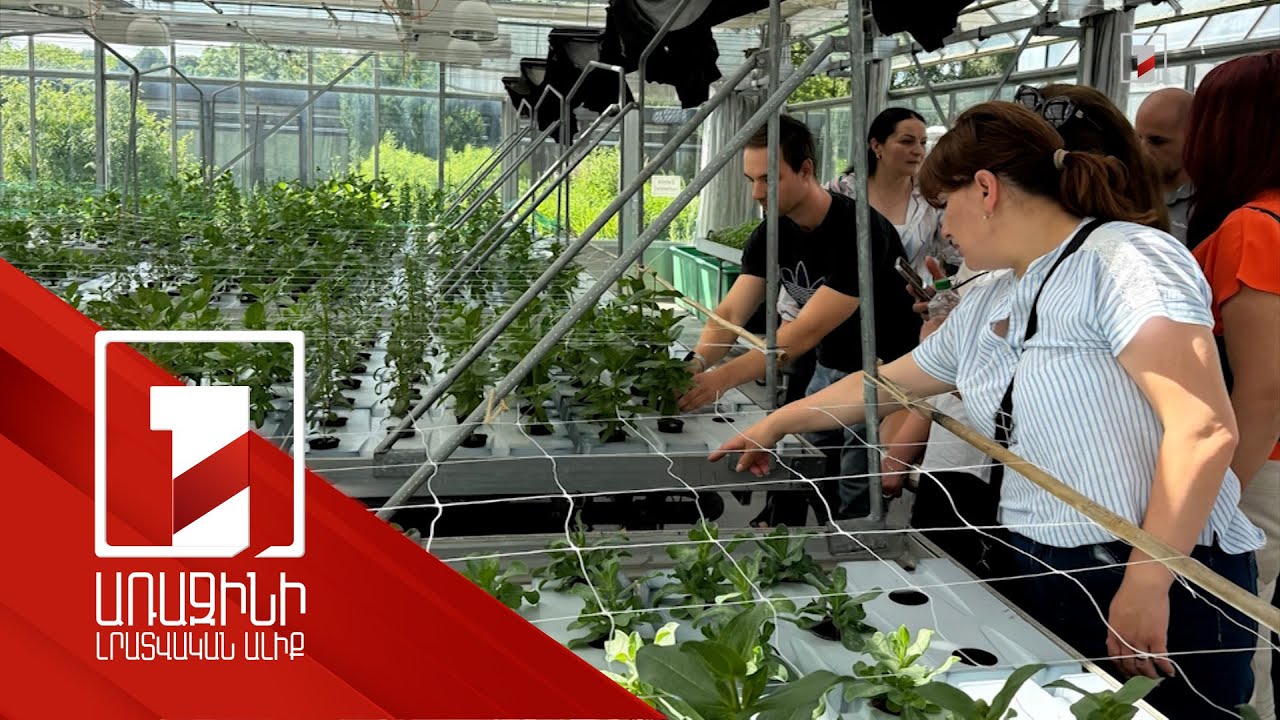 Քաղցր կեռասի ծառը թռչունների համար է. այցեր Գերմանիա և Չինաստան՝ «Իմ քայլը» հիմնադրամի միջոցով