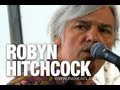 Robyn Hitchcock & the Venus 3 "She Doesn't Exist" | indieATL session