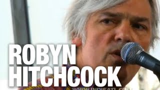 Robyn Hitchcock & the Venus 3 "She Doesn't Exist" | indieATL session