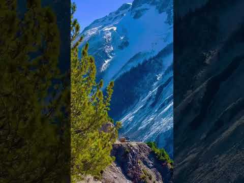 Beautiful Kashmir heaven in earth.Most beautiful place in the world 🌎 #kashmirtour #travel #kashmir