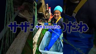 新潟の拳!!サザエ百烈拳！ #新潟 #サザエ #漁師