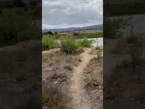 Path to river from Green River Campground site C75