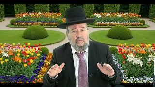 תלונת משה – וארא – הרב דוד הכהן