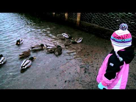 10 Minutes with Omayma