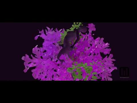 The Empty Space (Houdini Experimental Montage 2019)