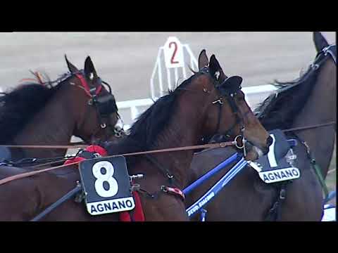 Napoli Trotto 24/02/2023 - 6ª corsa