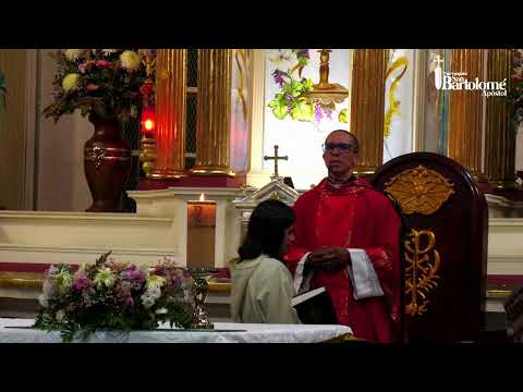 Santa Misa | Fiesta de los Santos Simón y Judas, Apóstoles | Llamados y edificados en Cristo
