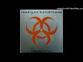 Lassigue Bendthaus - re-kombination