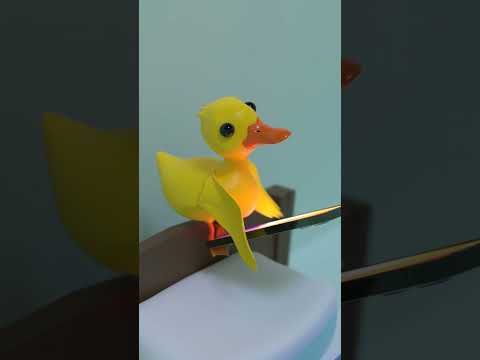 When you left your door open! 😱 #shorts #funny #duck