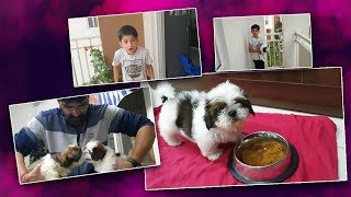 Arranging Budget Security at Home| Shopping for Maa Puppy Safety |Surprise Meet| Vlog