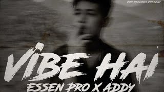 Vibe Hai song artwork
