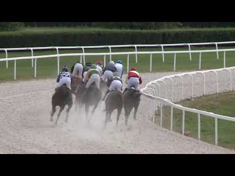 2018.09.23. 02. futam - NYERETLEN KÉTÉVESEK VERSENYE (IV.kat.) (szintetikus pálya)