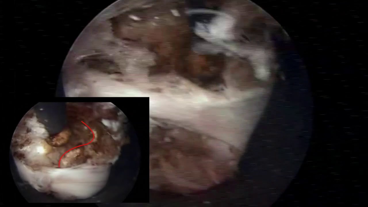 Edgar Martin Castañeda Guardia-6