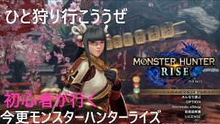 初心者がやるモンスターハンターライズ