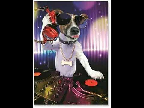 Indian remixes DJ Rocko n Steve 101 sounds