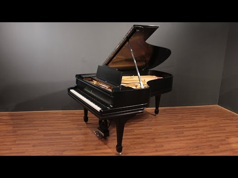 Steinway Model B 7' Semi-Concert Grand Piano Ebony Satin (Restored 2016)