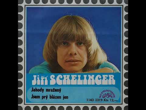 Jahody mražený - Jiří Schelinger