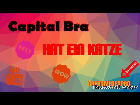 OMG! Capital Bra hat Katze 😍😜
