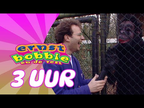 De Leukste Dieren Afleveringen van Ernst & Bobbie 🦒🦁 (3 uur) | Compilatie 💥