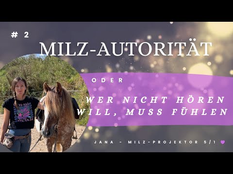 #2 Die Milz Autorität oder wer nicht hören will, muss fühlen