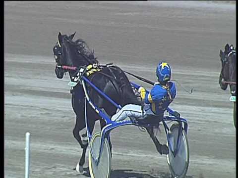 Trotto 14/04/2017 - 1ª corsa