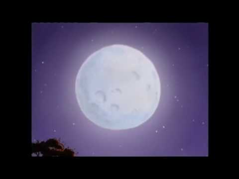 Moonlight Serenade - Little Bear