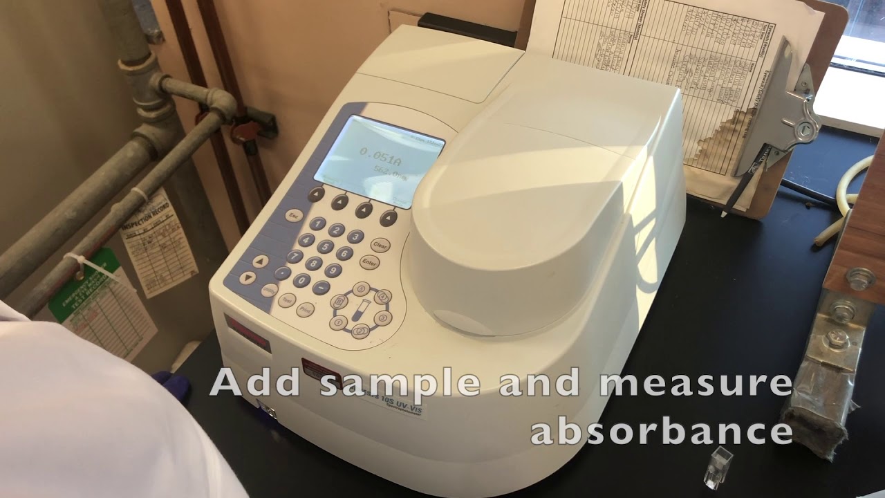 EES 2021 Lab 2 - Ferrous and Ferric Iron