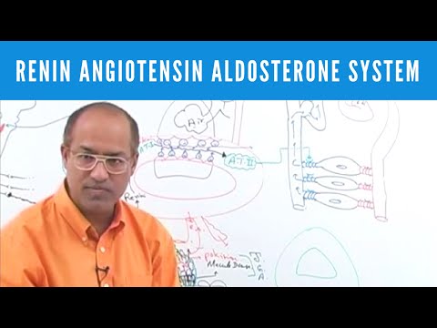 Renin Angiotensin Aldosterone System | RAAS👨‍⚕️