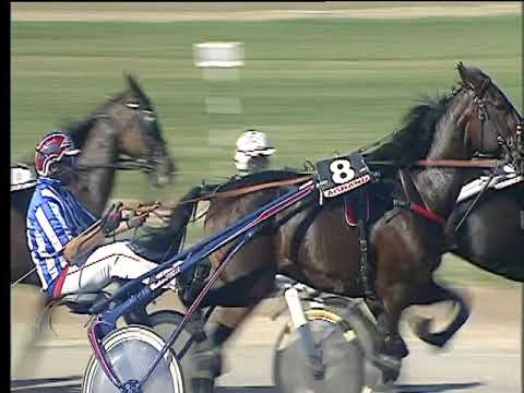 Trotto 13/10/2017 - 2ª corsa