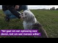Leenhond om de avondklok te omzeilen? 'Ik dacht eerst dat het een grap was'