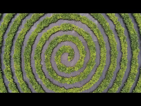Crop Circle Farms Accelerate Plant Growth