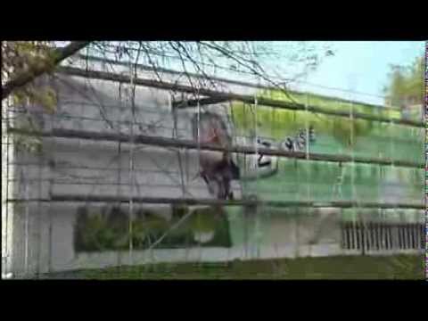 Bunt gemacht: Zuse lächelt von Fernwärmestation - ELSTERWELLE