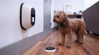 Pet Tech, Reviewed by a Dog