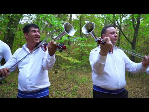 STANGACIU   si   MITI - LIVE-2 Colaj  POLCA