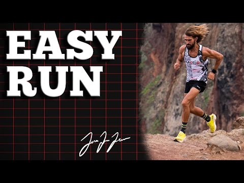 Easy Run: When? Why? How Fast?