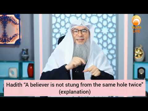 A believer is not stung from the same hole twice (Hadith explanation) - Assim al hakeem