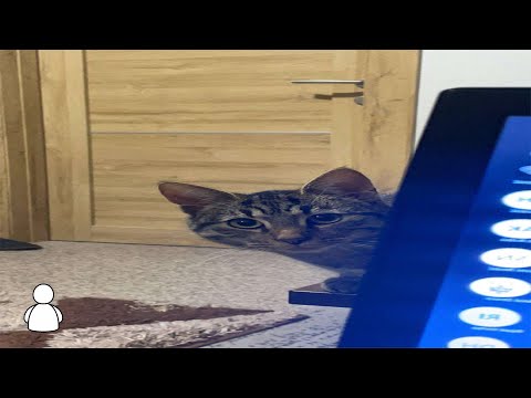 purnjo - samsamsam ( :3 )