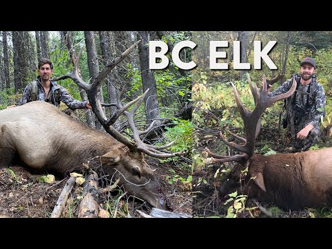 The MH Podcast EP 39 – How to Consistently Kill Elk in BC with Jordan and Ryan from @bcbackcountry