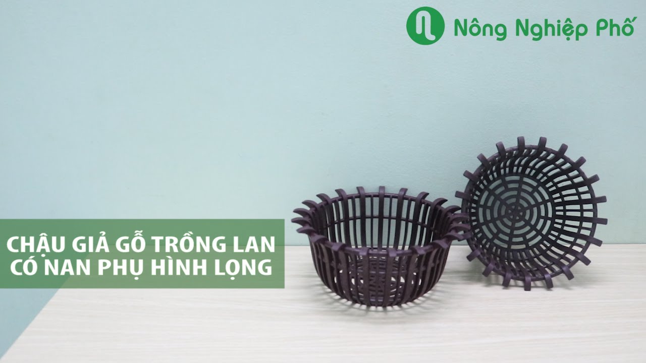 Chậu giả gỗ trồng lan có nan phụ hình lọng