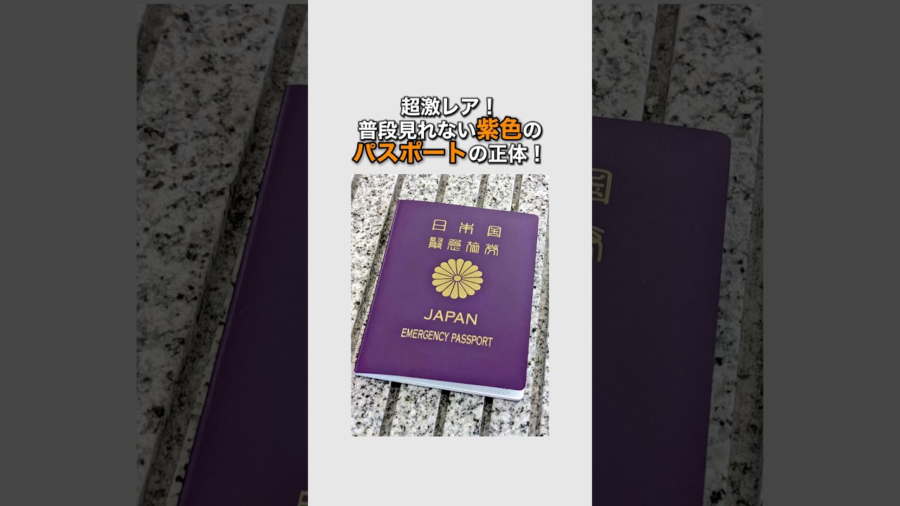 超激レア！普段見れない紫色のパスポートの正体！ #パスポート