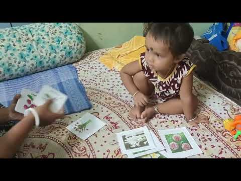 Identifying flowers....