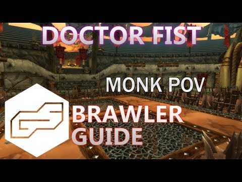 Doctor FIST: Rank 9 - Brawler's Guide