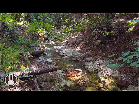 Gebirgsbachgeräusche und entspannende Naturvögel singen zum Entspannen, Schlafen, Lernen