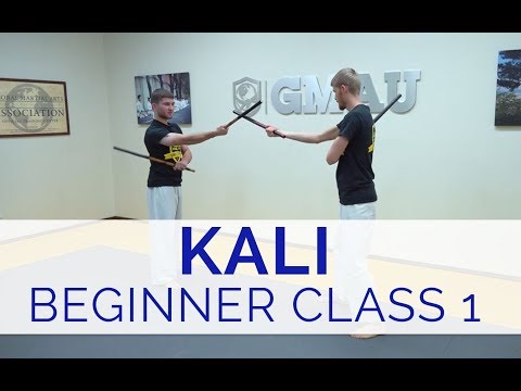 Introduction to Kali - Beginner Class #1 (Strikes, Blocks & Drills)