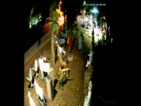 Câmera registra acidente que matou três homens na BR-470, em Apiúna