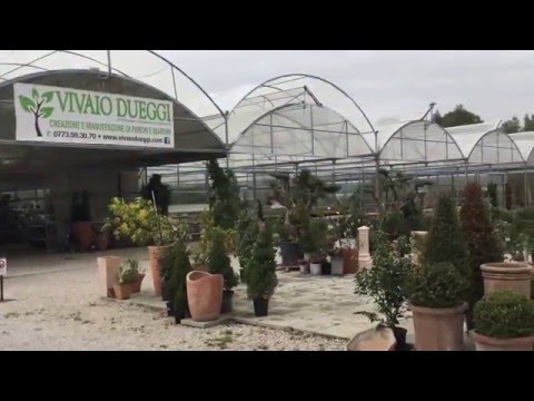 SabaudiaSport Tv - redazionale 'Fiori in Festa 2016' VIVAIO DUEGGI