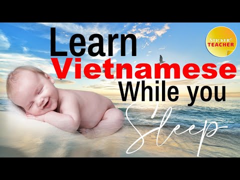 Learn Vietnamese - 100 MOST COMMON VIETNAMESE PHRASES - Learn Vietnamese while you sleep