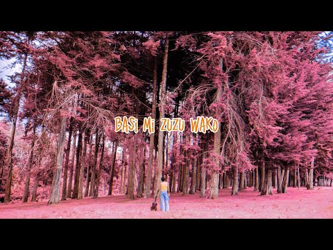 SHAD MZIKI - ZUZU (Official Lyric Video)